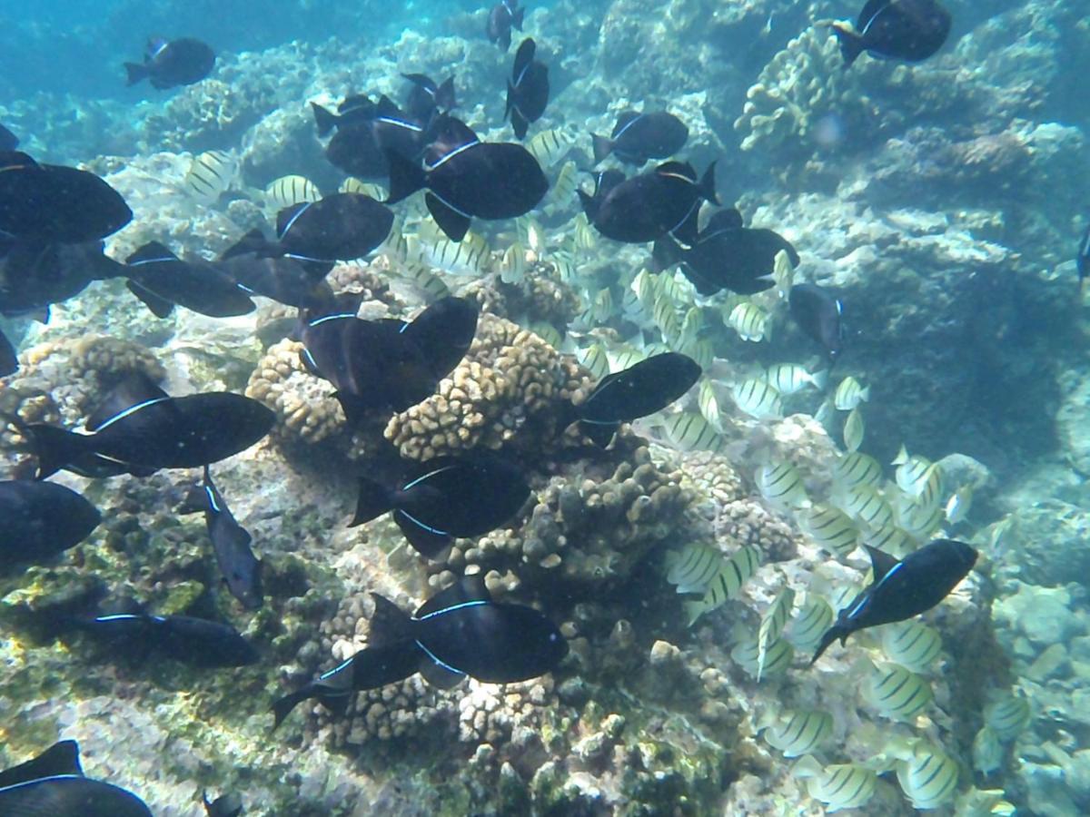 Island Time Guest Room Flying Fish Cove Luaran gambar