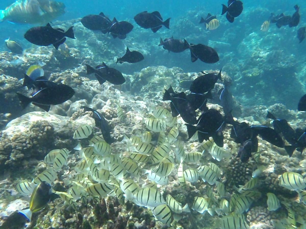 Island Time Guest Room Flying Fish Cove Luaran gambar